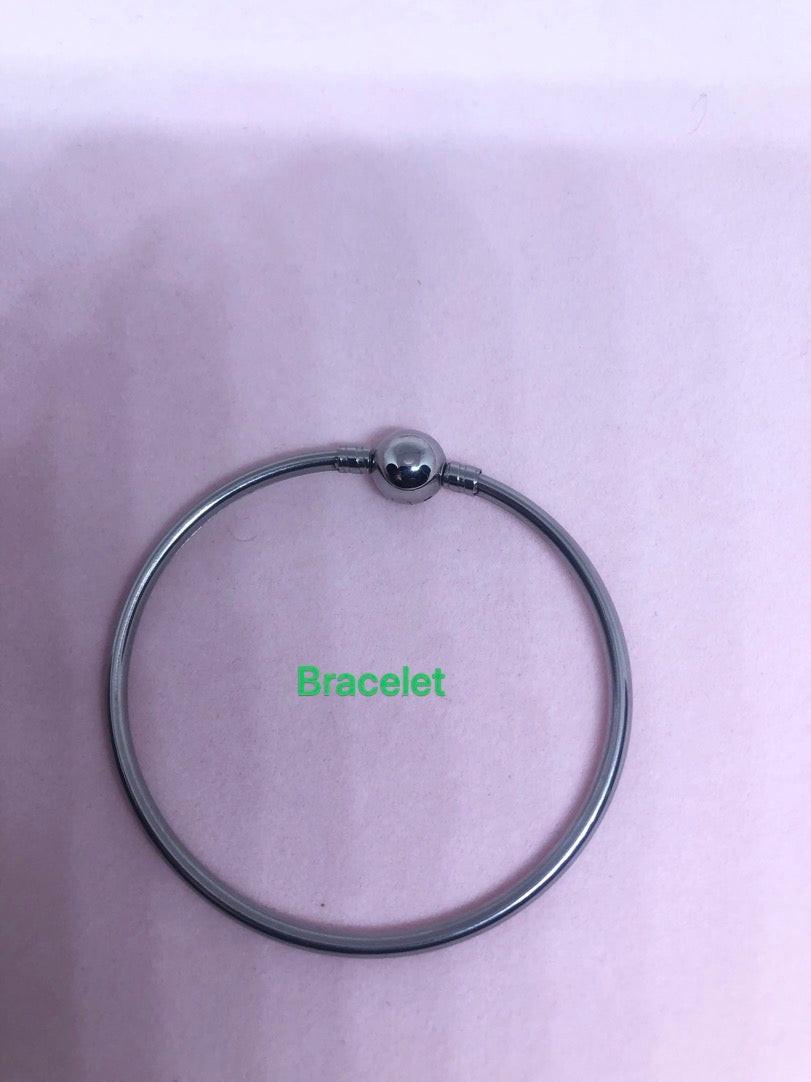 B100005 (Pandora Bracelets)